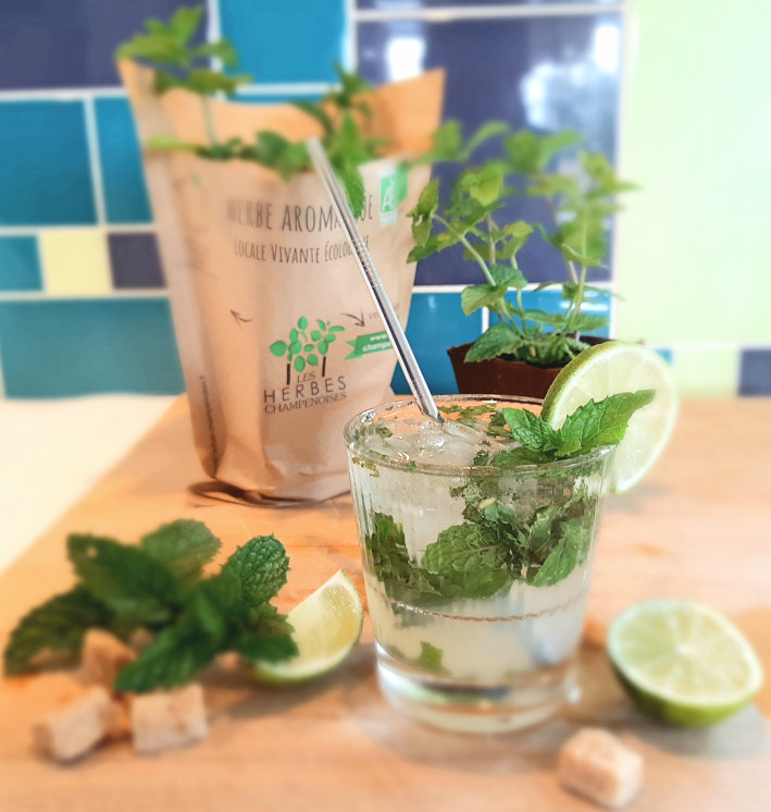 mojito_Les_herbes_champenoises_BD