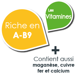 vitamines basilic