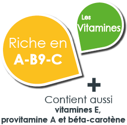 vitamines coriandre